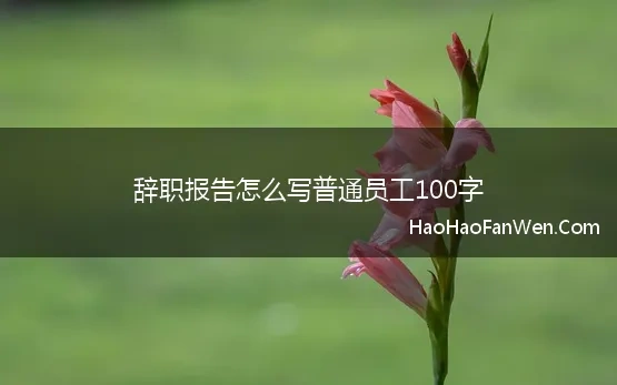 辞职报告怎么写普通员工100字