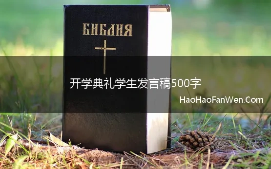 开学典礼学生发言稿500字