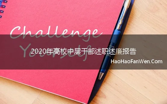 2020年高校中层干部述职述廉报告 高校中层干部述职述廉报告15