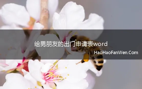 给男朋友的出门申请表word