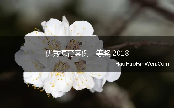 优秀德育案例一等奖 2018