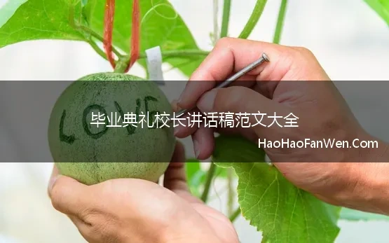 毕业典礼校长讲话稿范文大全