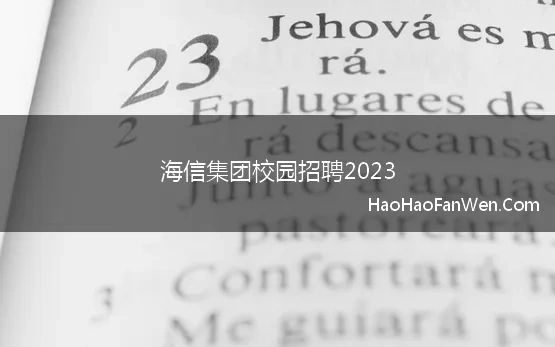 海信集团校园招聘2023