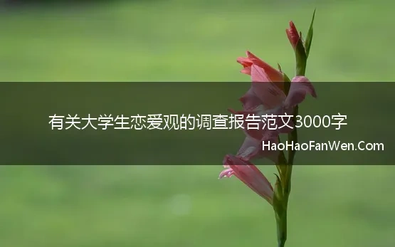 有关大学生恋爱观的调查报告范文3000字