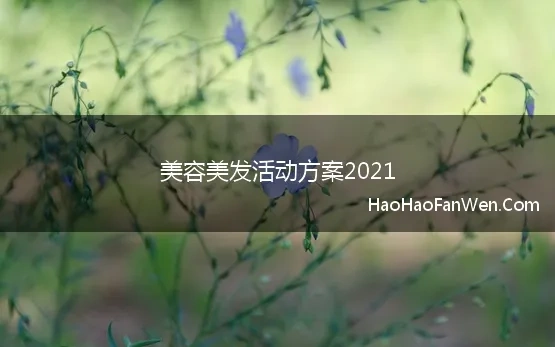 美容美发活动方案2021