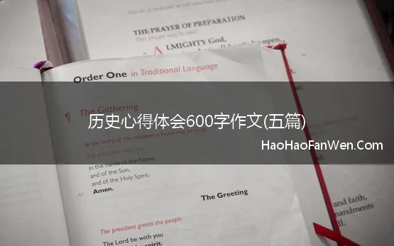 历史心得体会600字