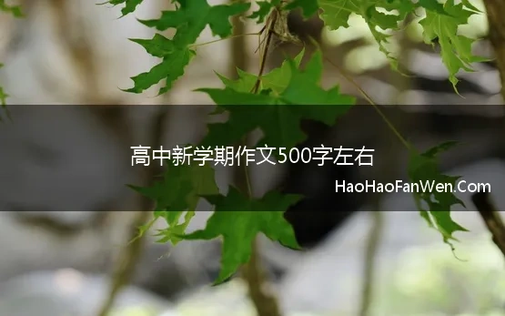 新学期的打算高中作文600字