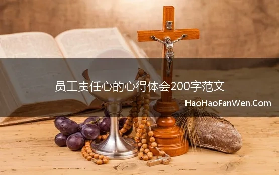 员工责任心的心得体会200字范文