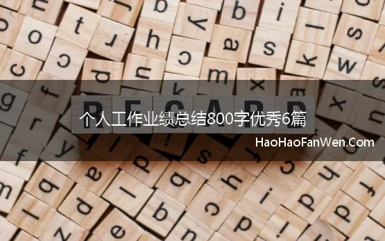 工作业绩总结800字