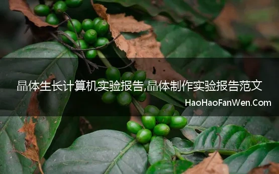 晶体生长计算机实验报告,晶体制作实验报告范文