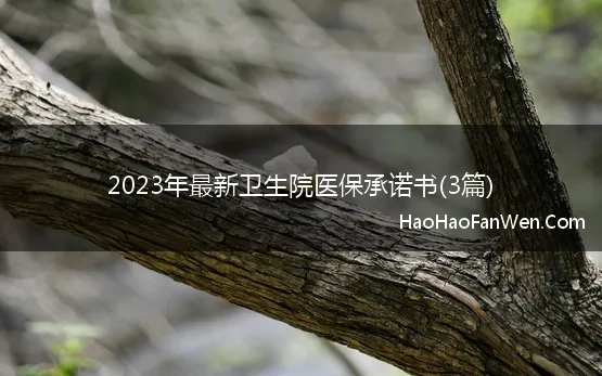 2023年最新卫生院医保承诺书(3篇)