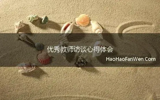 优秀教师访谈心得体会