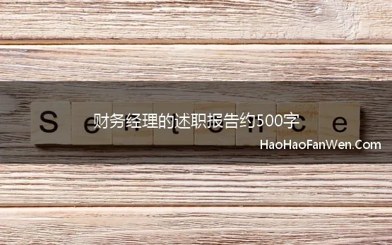 财务经理的述职报告约500字