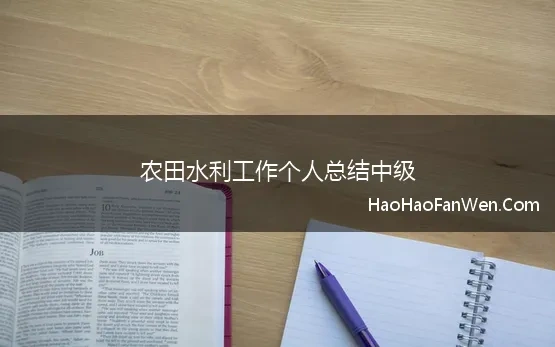 农田水利工作个人总结中级(乡镇水利工作个人总结)