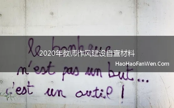 2020年教师作风建设自查材料