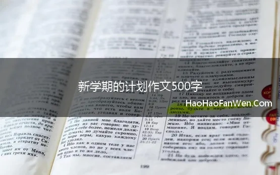 新学期的计划作文500字