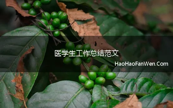 医学生工作总结范文