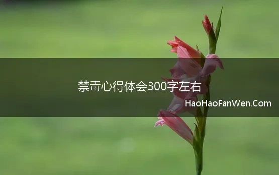 禁毒心得体会300字左右