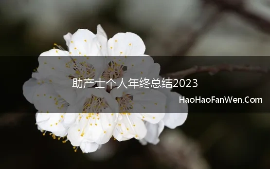 助产士个人年终总结2023