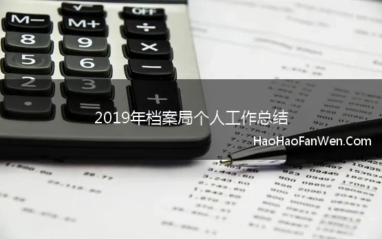 2019年档案局个人工作总结