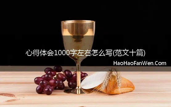 心得体会1000字左右怎么写(范文十篇)