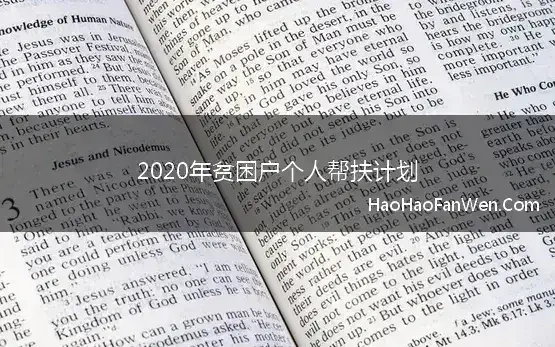 2020个人帮扶计划内容