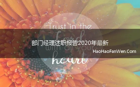 部门经理述职报告2020年最新