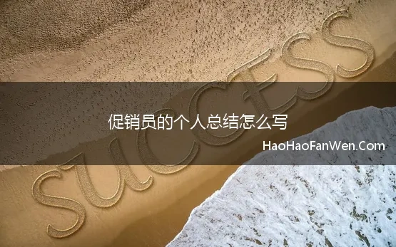 一个促销员的年终工作总结怎么写