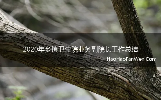 2020年乡镇卫生院业务副院长工作总结