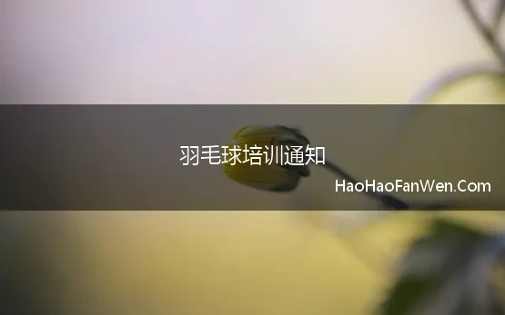 羽毛球培训通知(青少年羽毛球精英培训班通知)