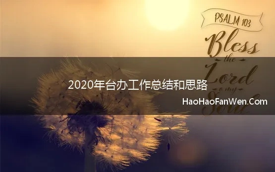 2020年台办工作总结和思路