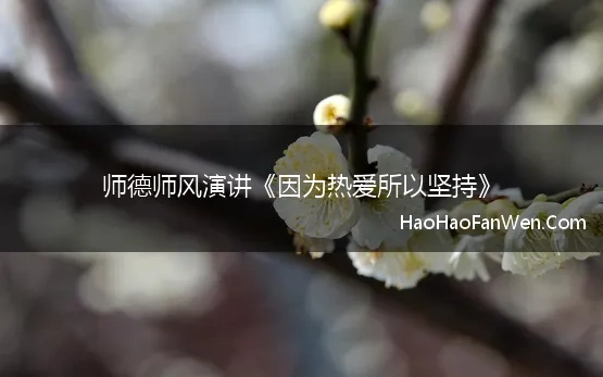 师德师风演讲《因为热爱所以坚持》