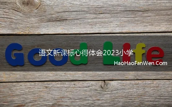 语文新课标心得体会2023小学