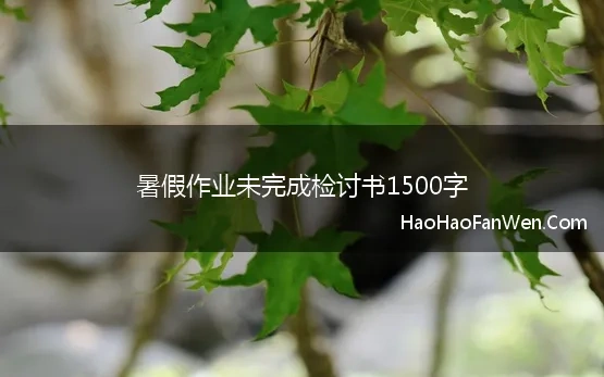 暑假作业未完成检讨书1500字