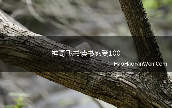 神奇飞书读书感受100 神奇飞书读后感