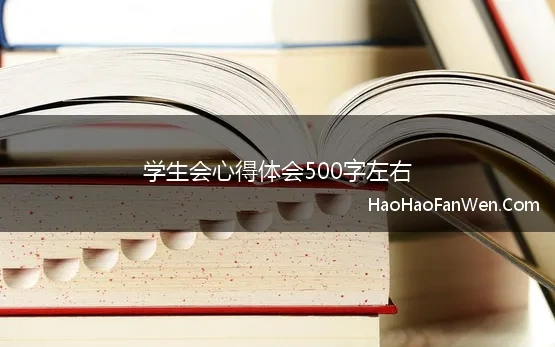 学生会心得体会500字左右