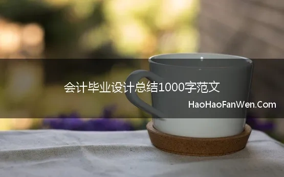 会计毕业设计总结1000字范文