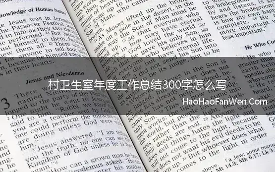 村卫生室年度工作总结300字怎么写