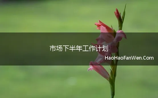 市场下半年工作计划