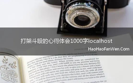 打架斗殴心得体会500字