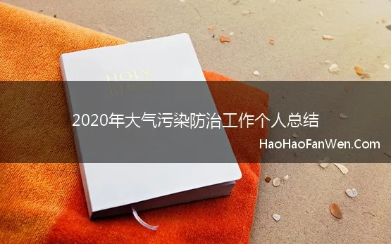 2020年大气污染防治工作个人总结