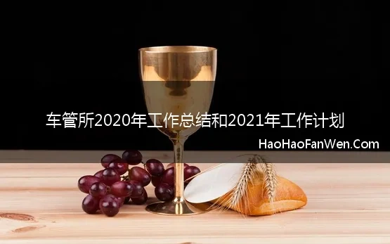 车管所2020年工作总结和2021年工作计划