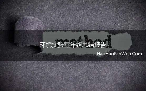 环境实验室年终总结报告 检测实验室年终总结