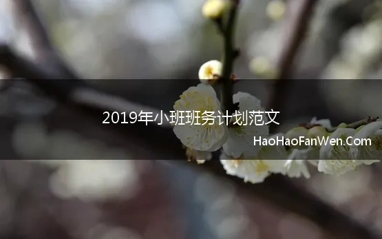 2019年小班班务计划范文