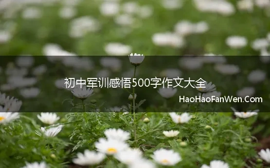 初中军训感悟500字作文大全