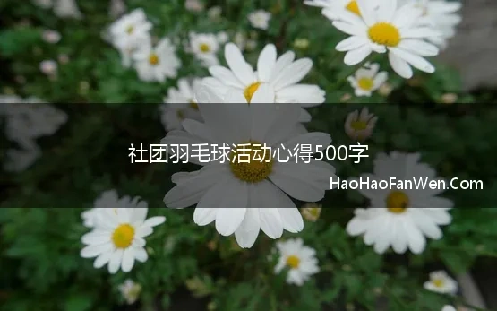 社团羽毛球活动心得500字 最新羽毛球社团总结500字