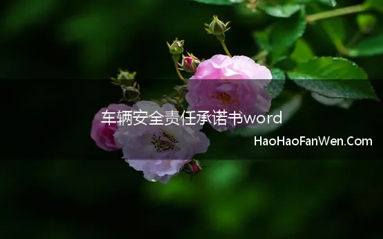 车辆安全责任承诺书word