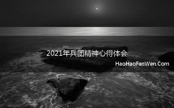 2021年兵团精神心得体会