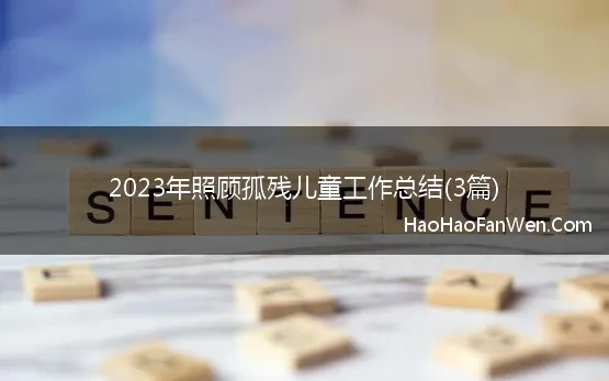 2023年照顾孤残儿童工作总结(3篇)