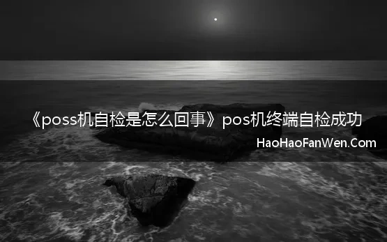 《poss机自检是怎么回事》pos机终端自检成功